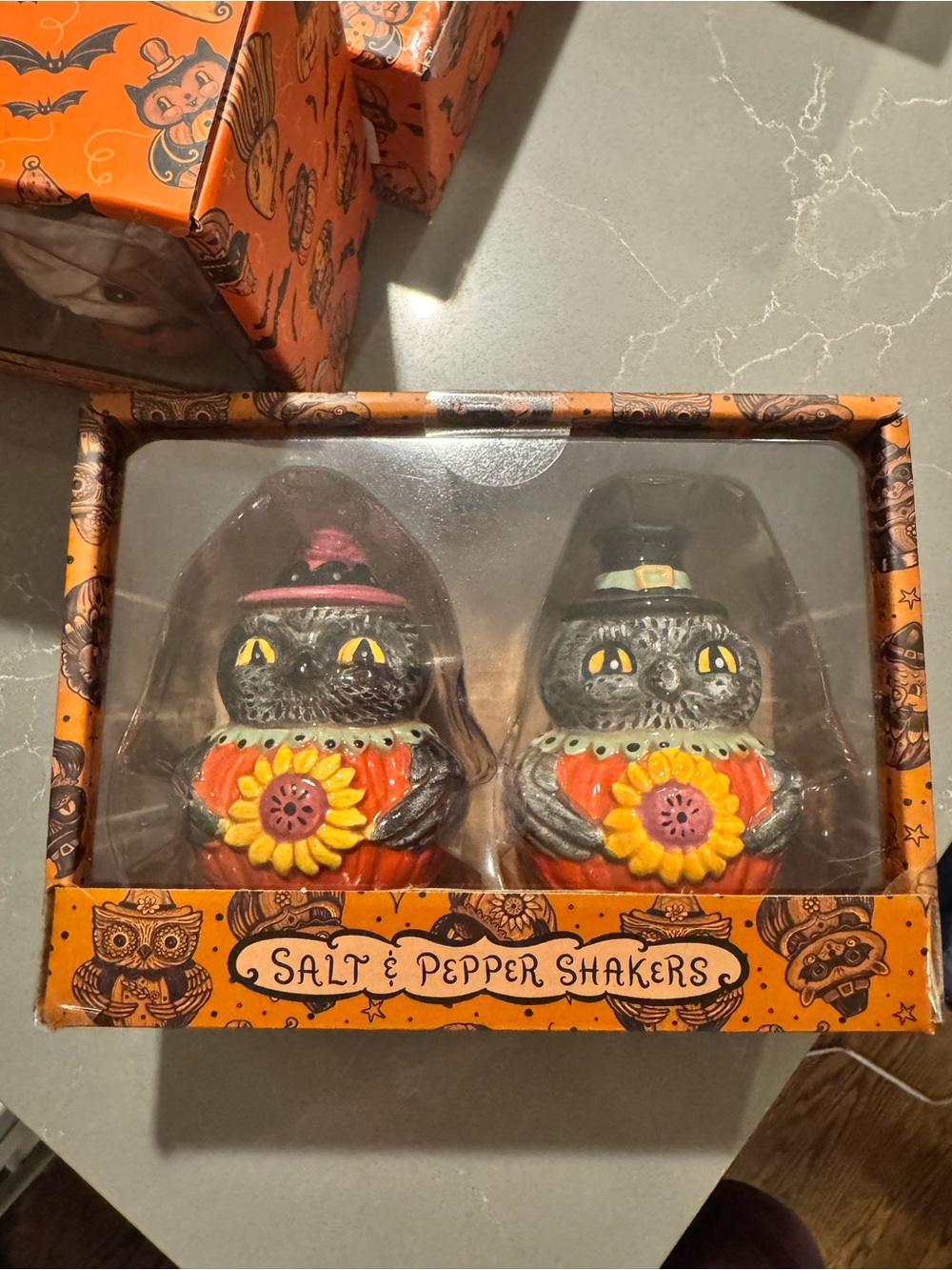 Johanna Parker Halloween Black crow  Salt & Pepper Shaker Set - Orange Accents